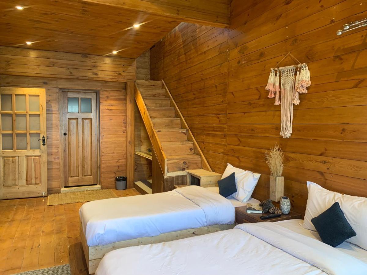 Auberge de jeunesse Sugar Cube Retreat à Shimla Extérieur photo