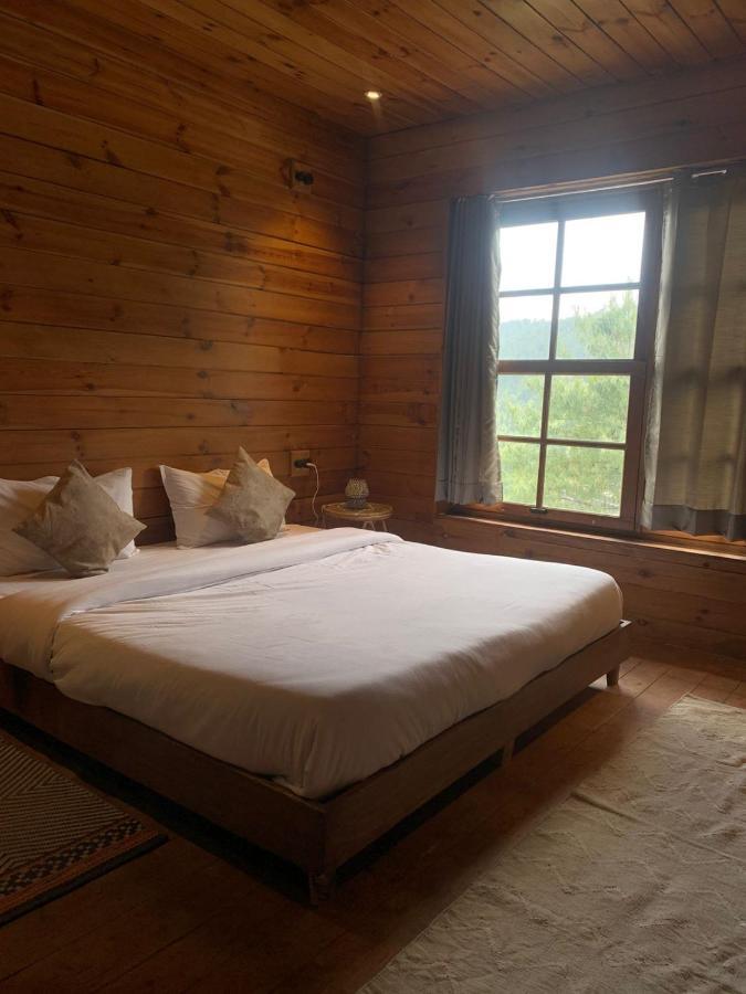 Auberge de jeunesse Sugar Cube Retreat à Shimla Extérieur photo